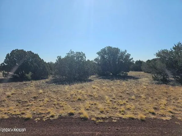 2301 SITGREAVES Street #42, Show Low, AZ 85901