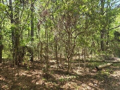 2nd image of 0 Bears Bluff Rd Lot B