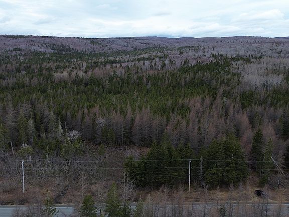 5th image of 395 Highway Ainslie