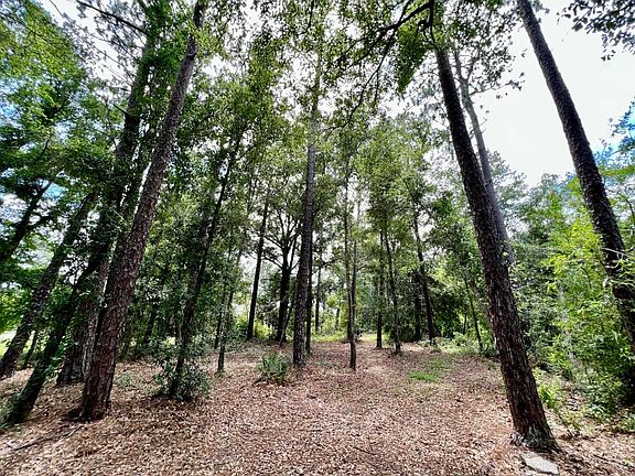 2nd image of 9121B Woodland Dr