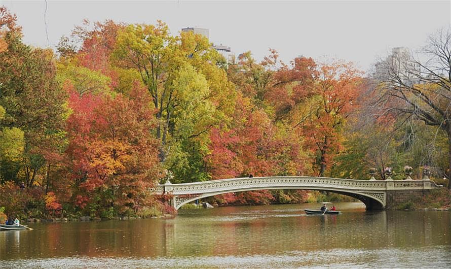 1st image of 120 Central Park S APT 15D