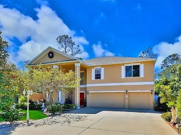 3 Zorro Ct, Palm Coast, FL 32164