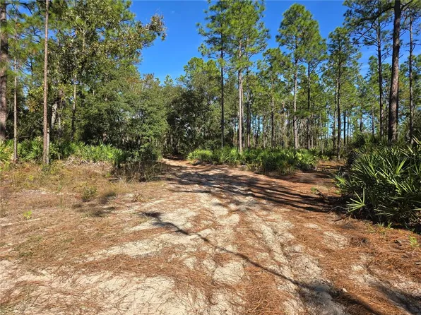 5449 N Smokey Mountain Point, Crystal River, FL 34428
