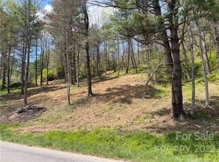 3 Fines Creek Rd, Clyde, NC 28721