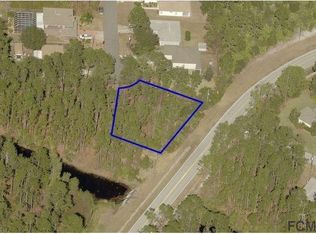 9 Roxanne Pl, Palm Coast, FL 32164