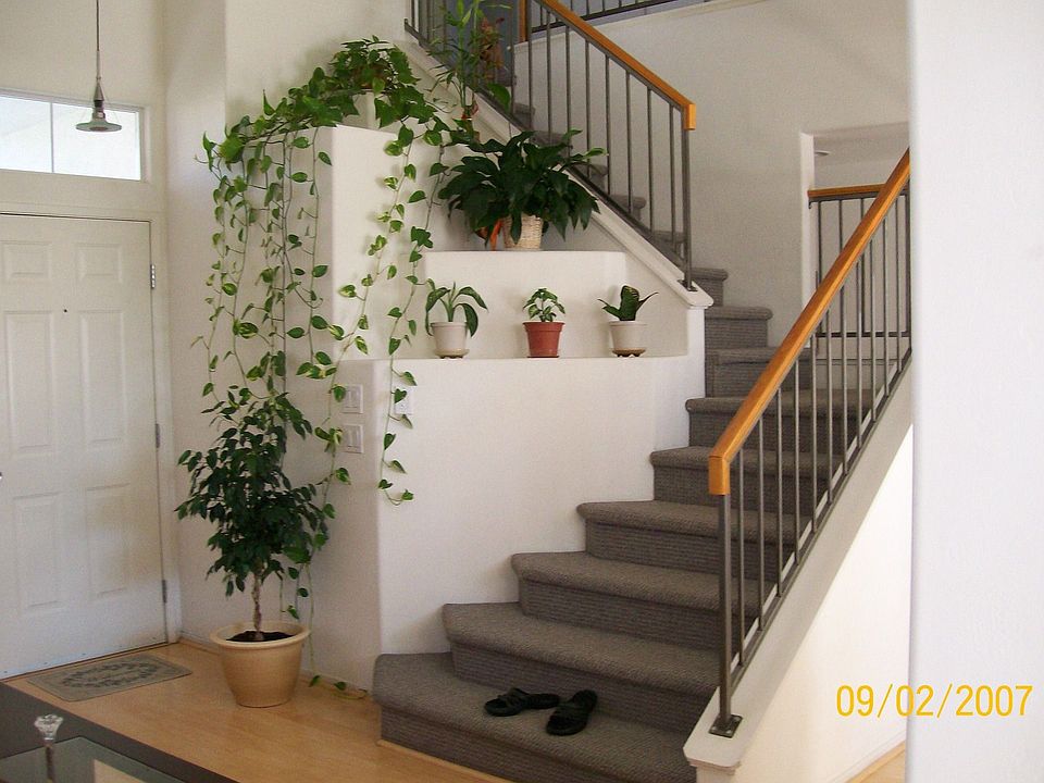 2nd image of 3920 Boswellia Dr