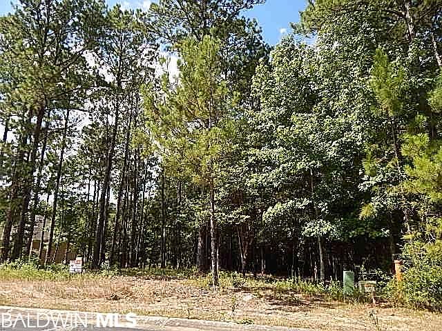 1st image of 0 Wilkins Creek Court