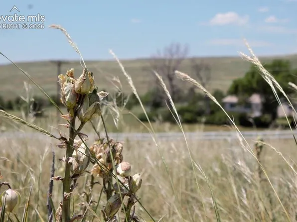 TRACT 8 McClelland Rd, Calhan, CO 80808