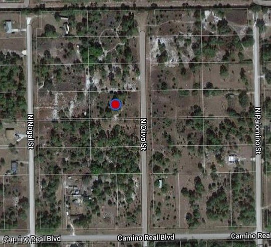 2nd image of 340 N Olivo St