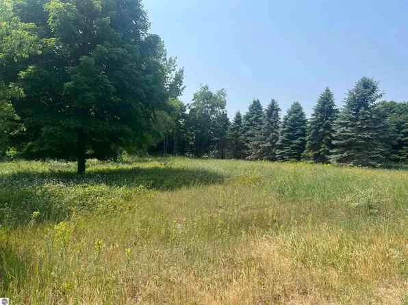 0 Fran Ave, Frankfort, MI 49635