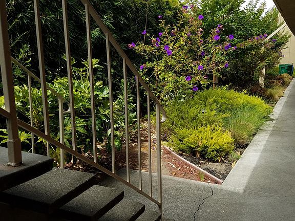 4th image of 5445 Vicente Way #06b6504bc