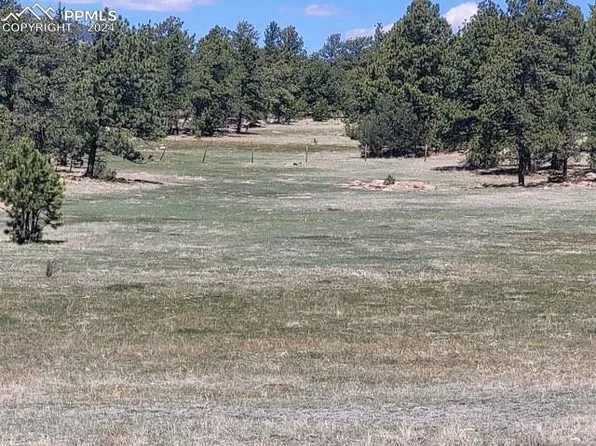495 Ring Rd, Guffey, CO 80820