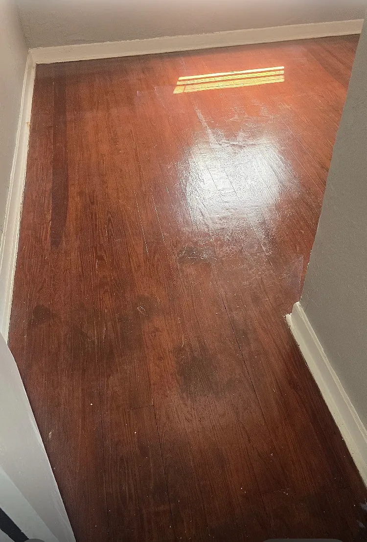 2 bed, 1054 sqft, $1,950 — Photo 3