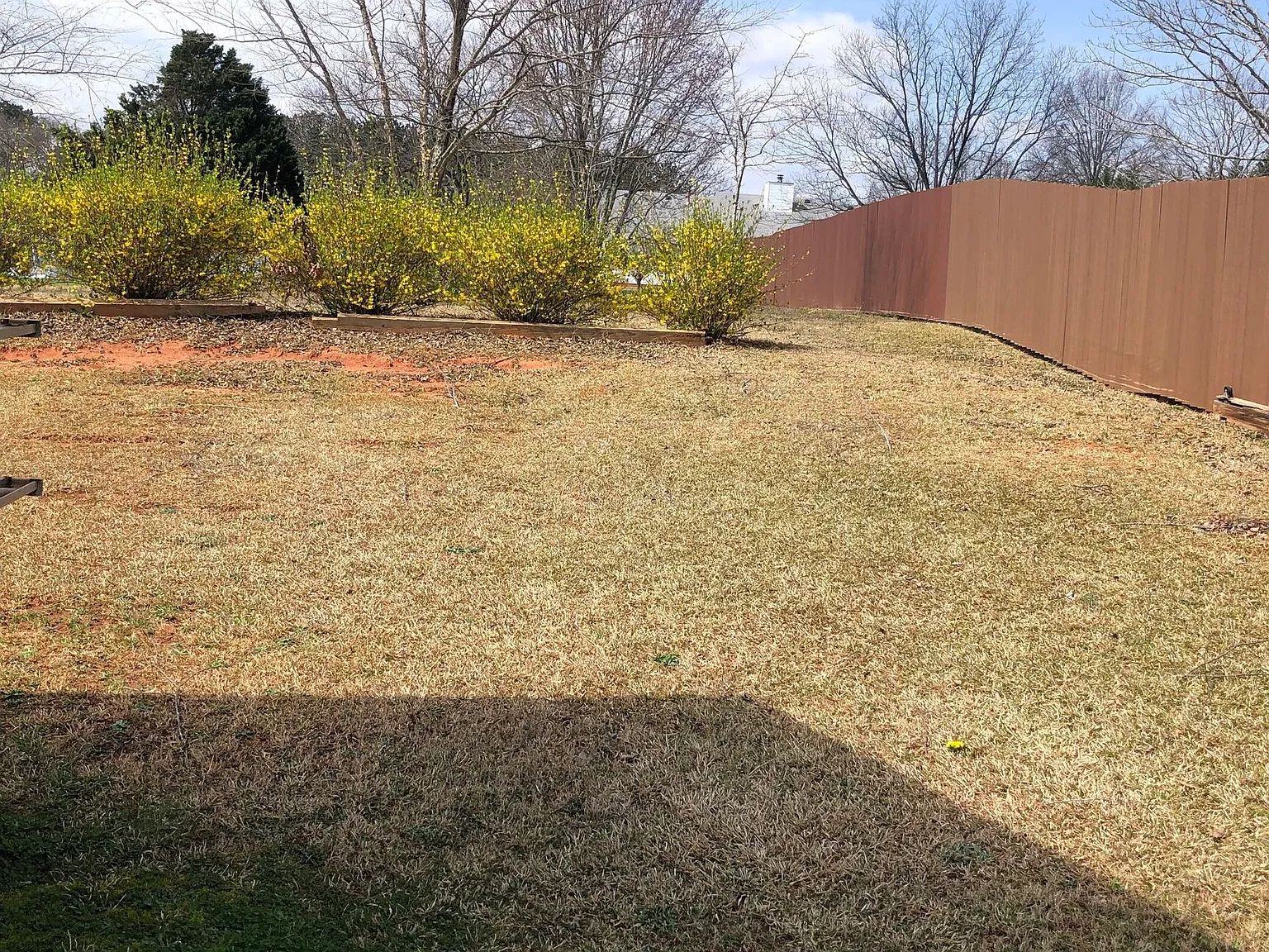 3 bed, 2.0 bath, 1502 sqft, $1,850 — Photo 3