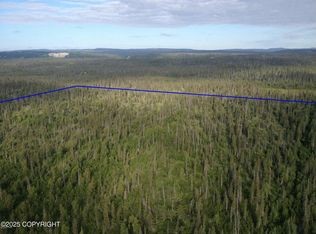 Town Road C Caribou Lake Trl, Homer, AK 99603