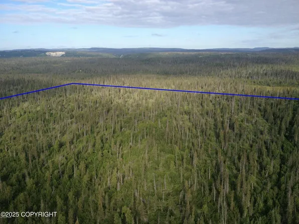 Town Road C Caribou Lake Trl, Homer, AK 99603