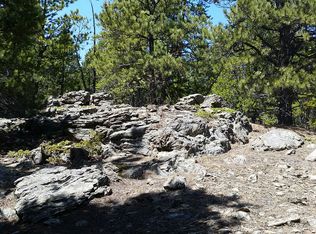 315 Pickle Point, Black Hawk, CO 80422