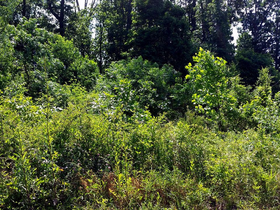 1st image of Ponderosa Dr