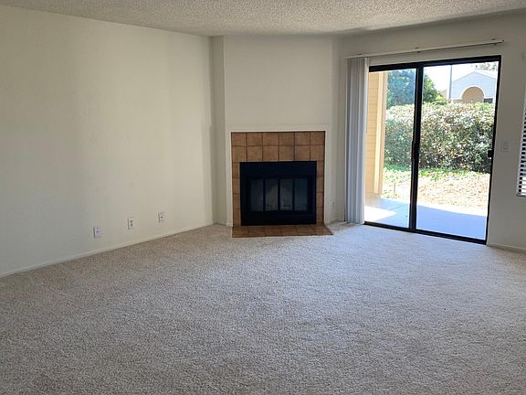 Wood Burning Fireplace in Living Room