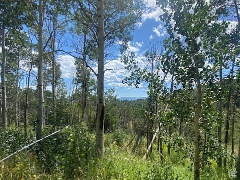 2nd image of 2684 S Forest Meadow Rd