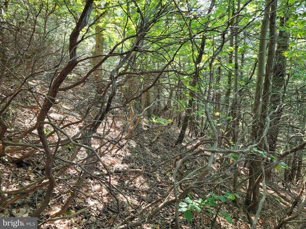 LOT 89 Ridge Run Rd, Claysburg, PA 16625