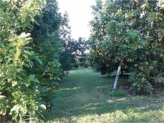 Income Producing land