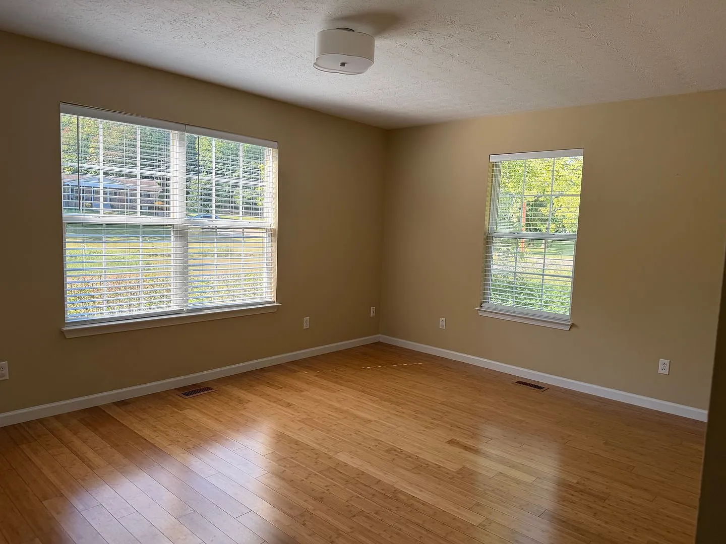 2 bed, 1.0 bath, 768 sqft, $1,500 — Photo 2