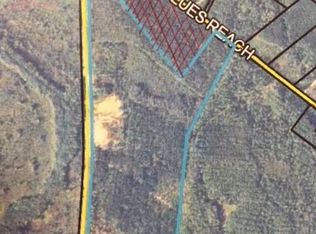 0 Cox Rd S/s, Townsend, GA 31331