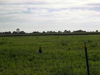 1st image of 8420 N County Road 650 E
