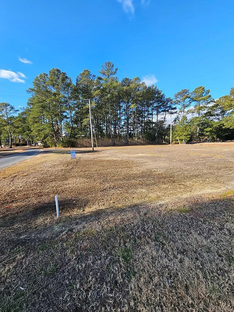 LOT 205 Hibiscus Dr photo 1