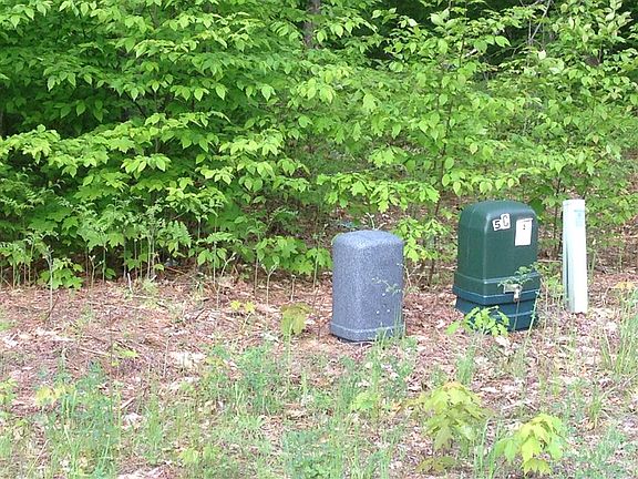 4th image of Betsie Creek Dr