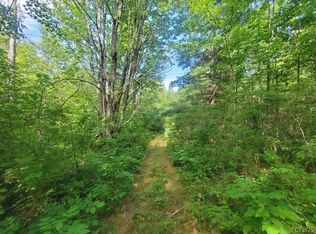 0 Harrisburg Hollow Rd, Bath, NY 14810