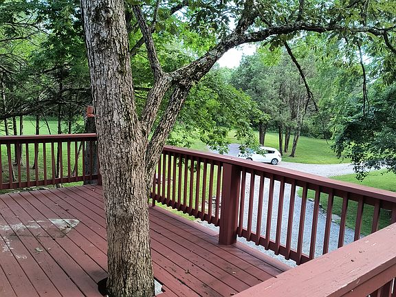 Large Deck with a tree growing thru it