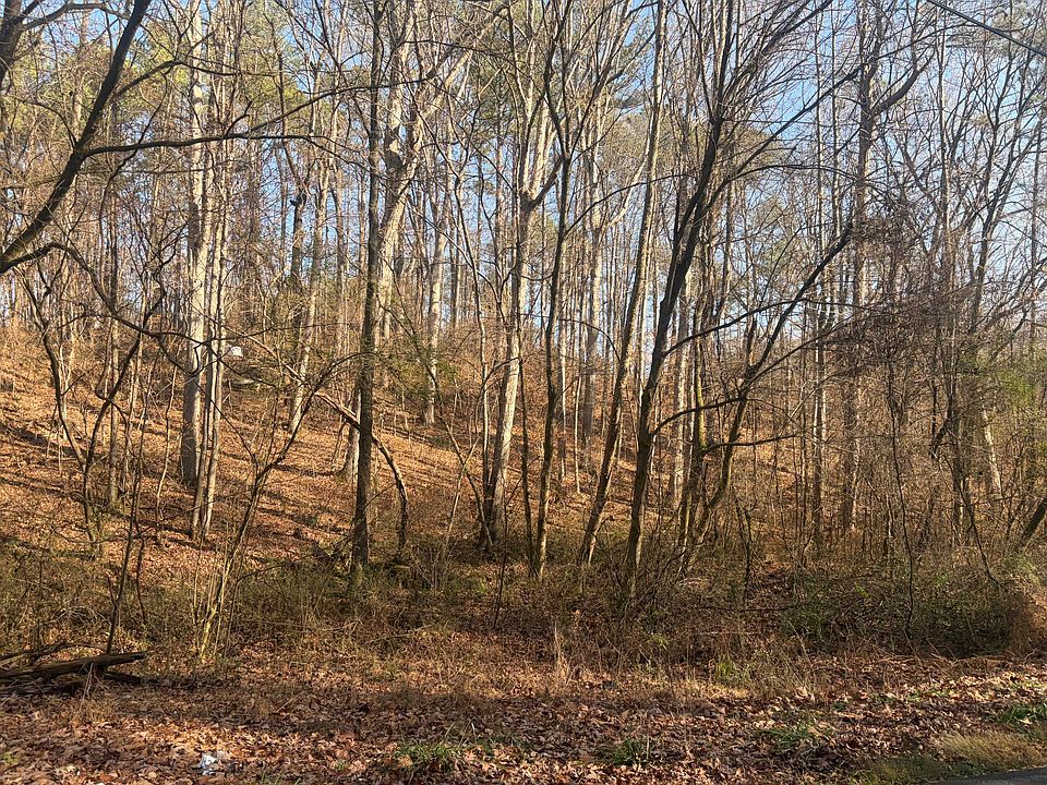 2nd image of 0 Rauschenberg Rd NW