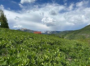 18 Cinnamon Mountain Road, Mt. Crested Butte, CO 81225