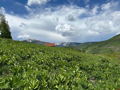 18 Cinnamon Mountain Road, Crested Butte, CO, 81225