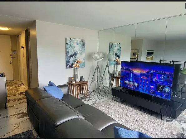 480 S Chicago Beach Dr #215N, Chicago, IL 60615