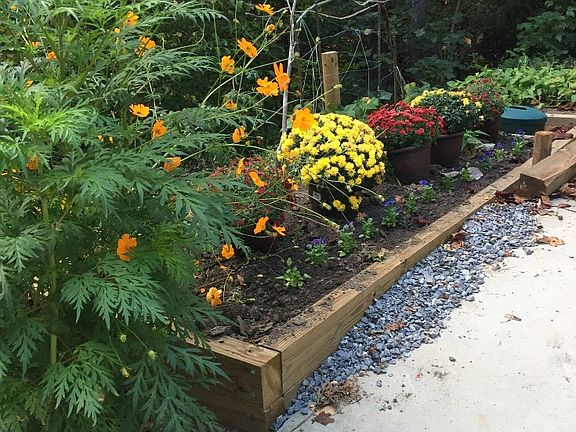 Flower Garden Area