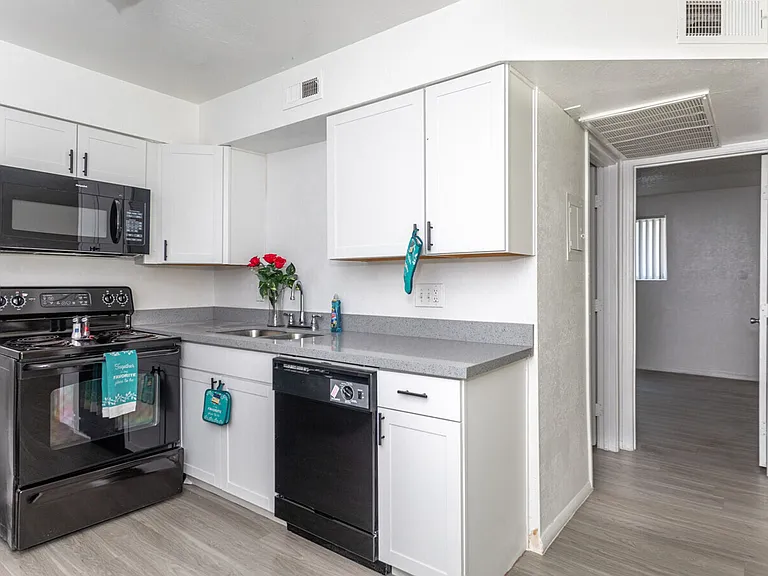 The Canvas Apartments — Photo 4