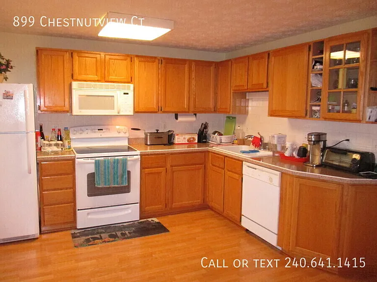 899 Chestnutview Ct — Photo 10