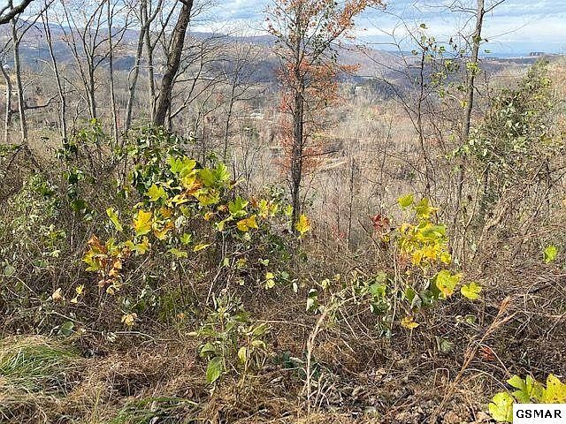 1st image of 24 Stone Fence Ln Lot 24