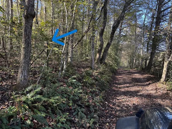 0 Saffron Ln, Blue Ridge, GA 30513