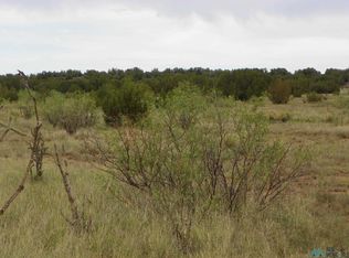 2 Mesita Pass Rd, Cuervo, NM 88417