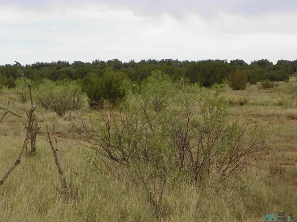 2 Mesita Pass Rd, Cuervo, NM 88417