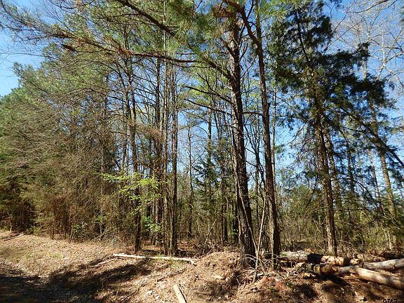5th image of County Road 3302