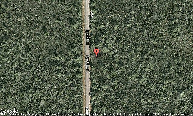 Map View