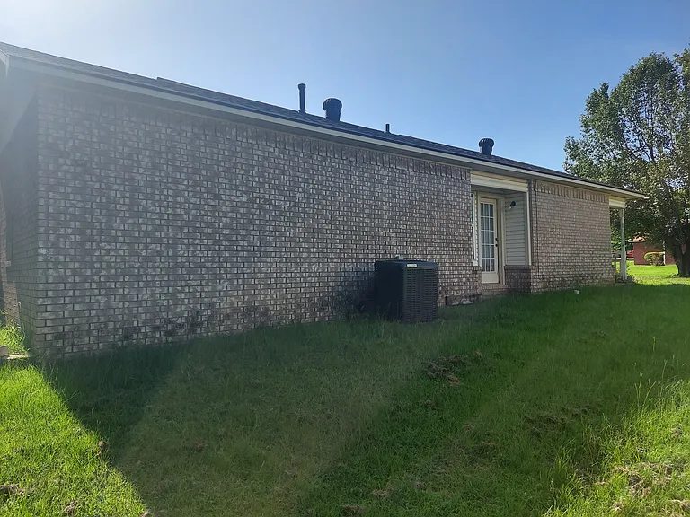 Left side of house
