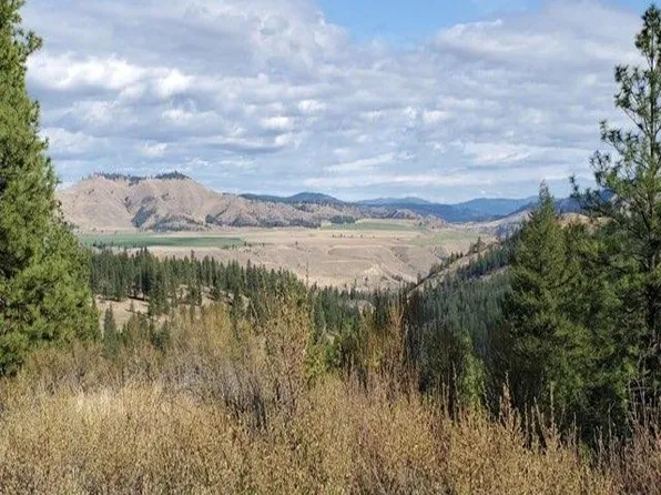 Nka Old Hughes Rd, Davenport, WA 99122