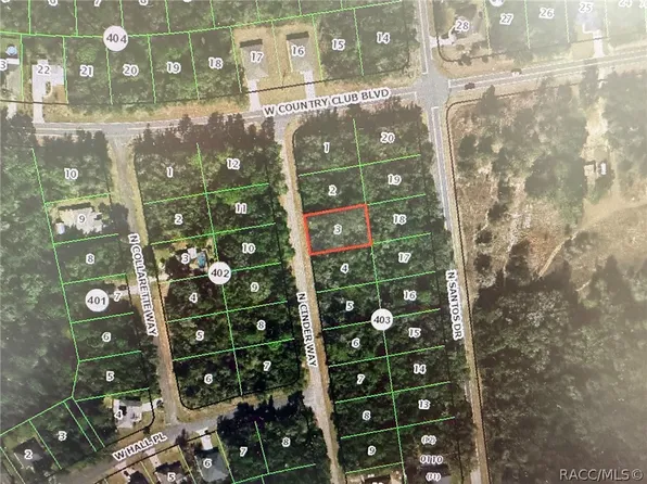 8697 N Cinder Way, Citrus Springs, FL 34434