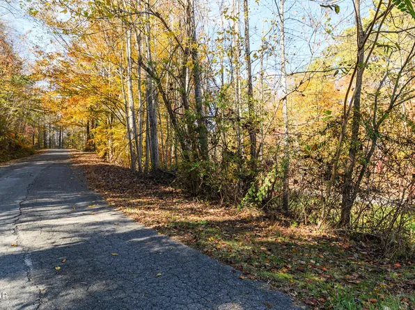 1 Jones Cove Rd Lot 1, Cosby, TN 37722